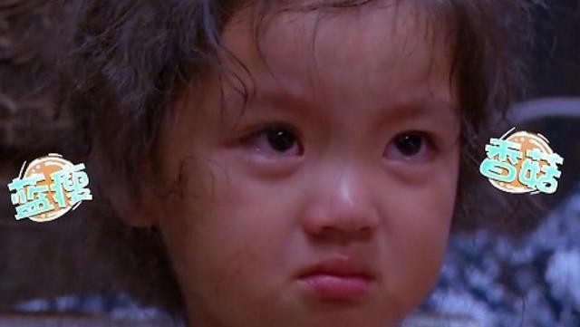  长成|那个曾经年入百万的阿拉蕾，为了弟弟不停赚钱，如今长成这副模样