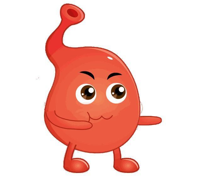 知识|夜宵吃了很多,为什么第二天早上反而更饿?涨知识了