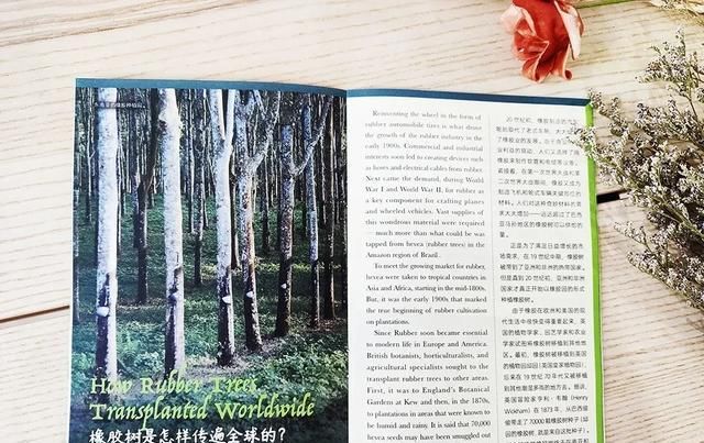  美国|美国顶尖儿童杂志授权，满足6-12岁孩子所有好奇心