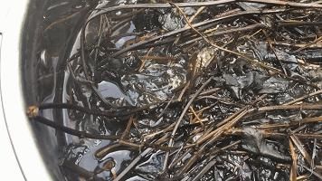  非食用物质|1克即中毒！夫妻获刑！