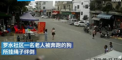  家庭|家属不追责老人被狗绳绊倒身亡：没要求赔偿 老人被狗绳绊倒身亡事件最新进展 医生回忆更多细节遛狗女孩家庭状况曝光