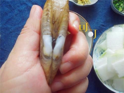  冬瓜汤|夏天最喜欢这样清爽鲜美的海鲜冬瓜汤，不油不腻，喝了真舒服