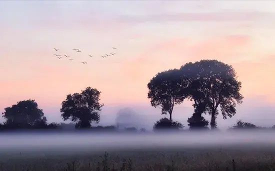 快乐|有恒心者，快乐常在