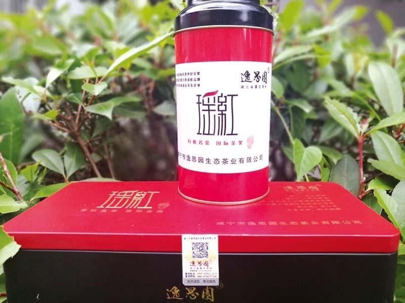 瑶山红茶|瑶红茶：历史名茶焕发新生