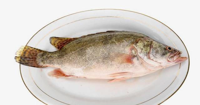  简单|特色家常菜-清蒸桂鱼，肉质鲜嫩有营养，做法简单容易学
