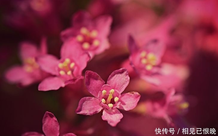 父母|“因为20万彩礼,男朋友退婚”:男方给的彩礼,该不该带回来?