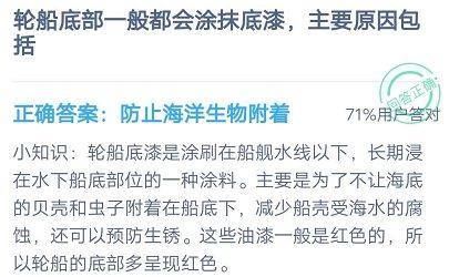轮船|轮船底部一般都会涂抹底漆主要原因包括?轮船底部涂抹底漆主要原因是什