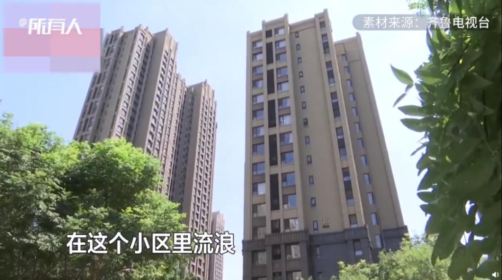  世界|啊，谁是世界上最蠢的贼？