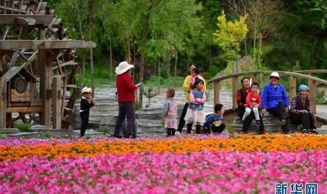 包莲英|【新华社】脱贫的颜色