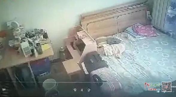 房东|女租客屋内发现多个摄像头偷拍 涉事房东系山西文旅厅一干部