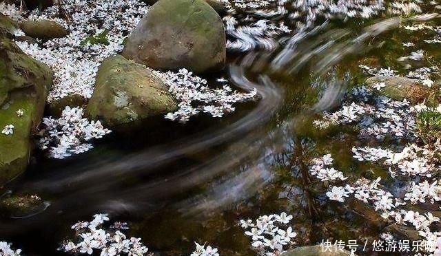季节|人这一生,最难活出自己的季节