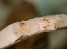  奇葩|最近超火的这些奇葩雪糕，每一口都让你忍不住“哇塞”！