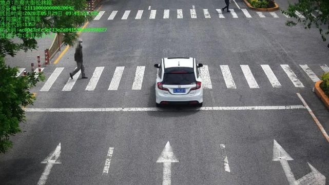 交警大队|盘锦市交警大队通报（第45期）