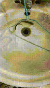 生活|搞笑GIF：大表哥以后的生活苦不堪言了！