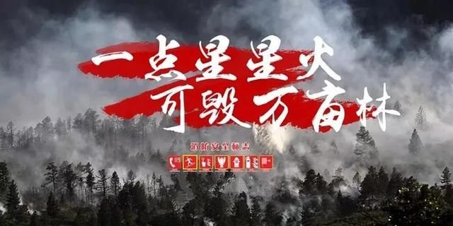 专项|森林草原防灭火专项整治丨森林防火，请严阵以待！