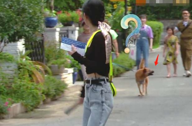  农村|《中餐厅》赵丽颖又翻车了？农村出身却被狗追着跑，网友称其太假