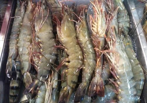 家人|去市场买虾时,这3种白给也不要!为了家人健康,以后别再买错了