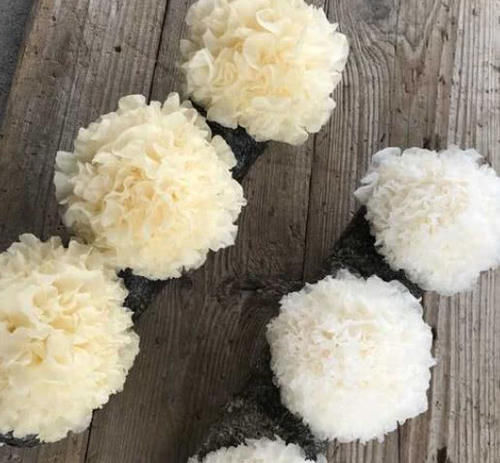 聪明人|聪明人从不买的四种菜,很多人都不懂,菜贩子我们从不吃