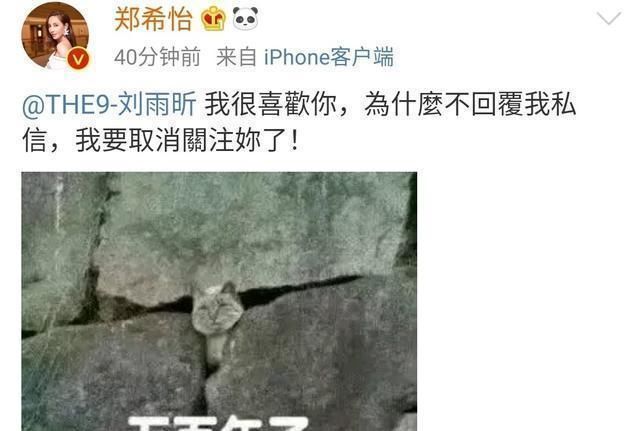  THE9|想知道路人怎样看待THE9、R1SE、硬糖少女303，这里告诉你