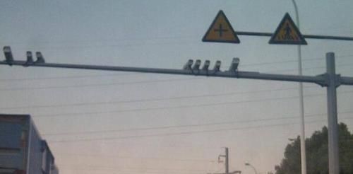  违章|路过摄像头的时候被闪了一下是啥意思？违章了吗？