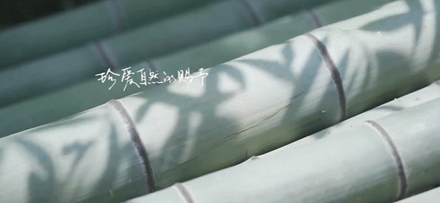  生活|这档被埋没的神仙综艺，值一个热搜！董卿插花比主持更美