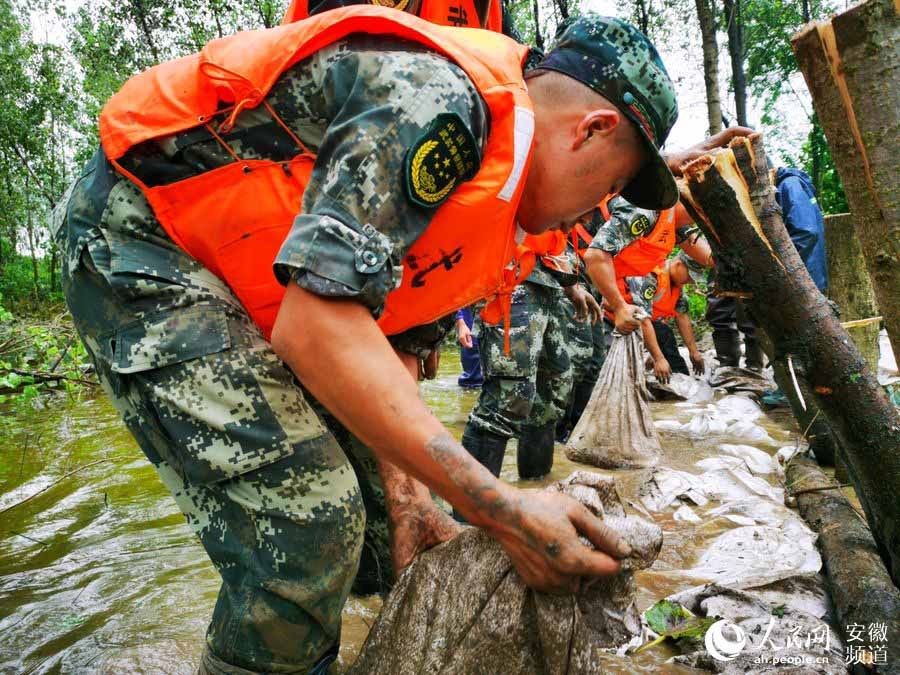 总队|武警安徽总队机动支队：兵分多路 抗洪抢险（图）