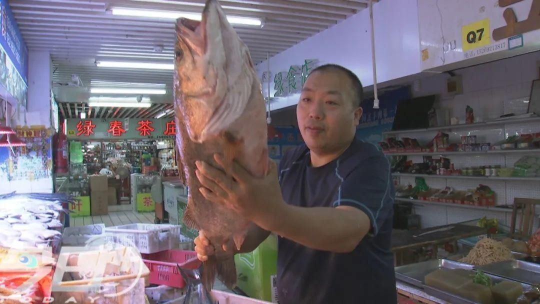 大鱼|青岛海鲜市场现一米多长大鱼！很多老青岛都不认识……
