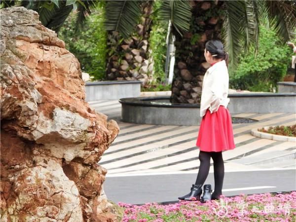 文明|【不文明行为随手拍】请勿在花台上行走