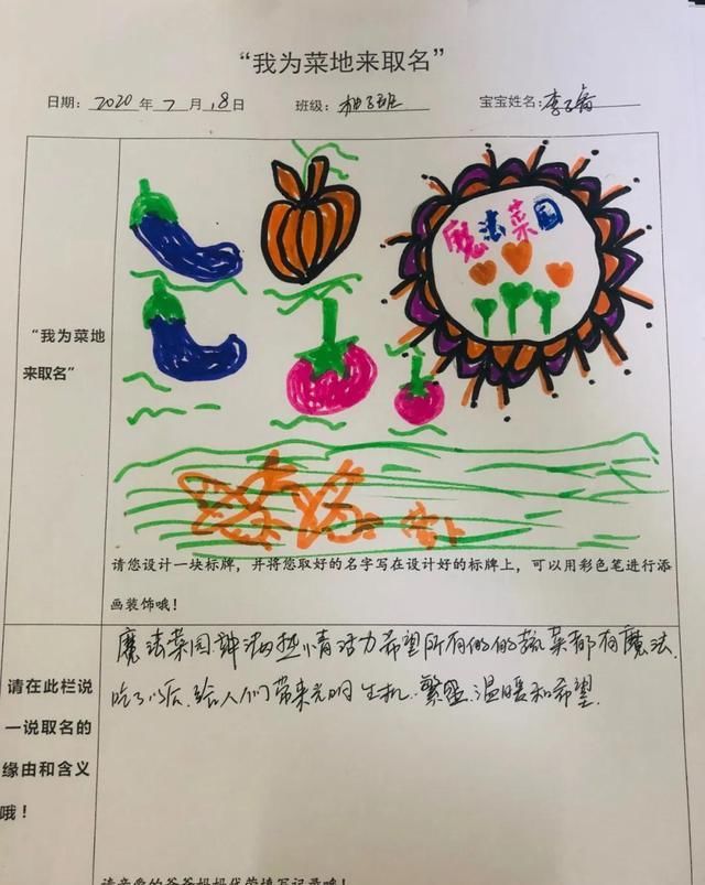  种植园|「园所动态」“我为种植园取名字”——诺亚舟和庄幼儿园