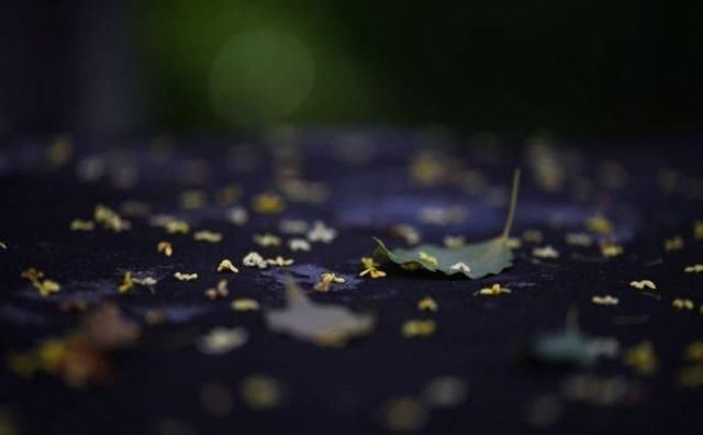  西厢记|不知名诗人写花的诗，开篇就引人入胜，最后还被《西厢记》模仿