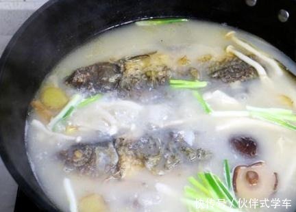 就可以|秋天,这款鲫鱼汤要多喝,暖胃,还很有营养,这样做不腥还很鲜