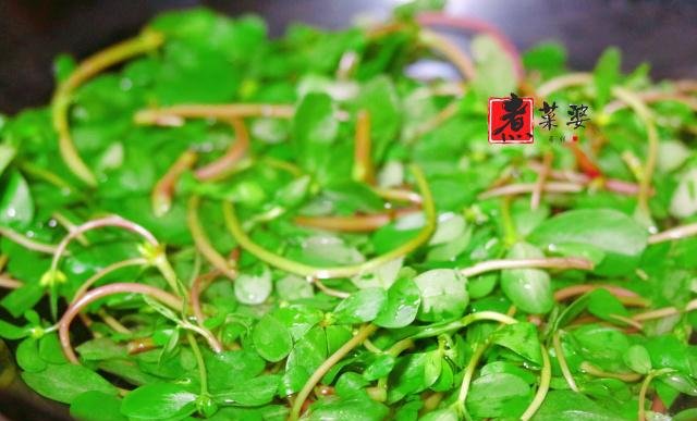  1勺|夏天就馋这个菜，焯一焯拌一拌，不加1滴醋，酸甜又开胃，特下饭