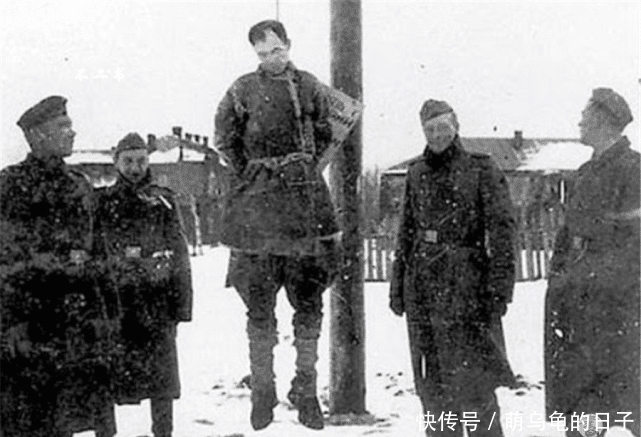 照片拍摄于二战东线|二战战场到底有多残酷？看看这些真实的老照片，战争之下满目离殇