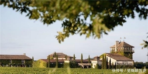 拉菲葡萄酒|82年拉菲生产了多少瓶?为何38年还没喝完?专家:可能永远喝不完