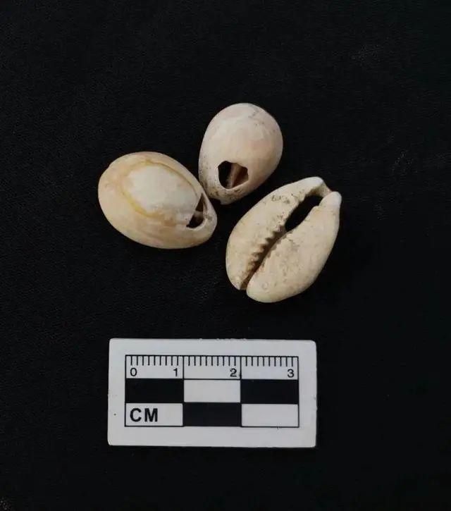  重建|一中学重建足球场，发现3000㎡古墓，单坑19颗头骨