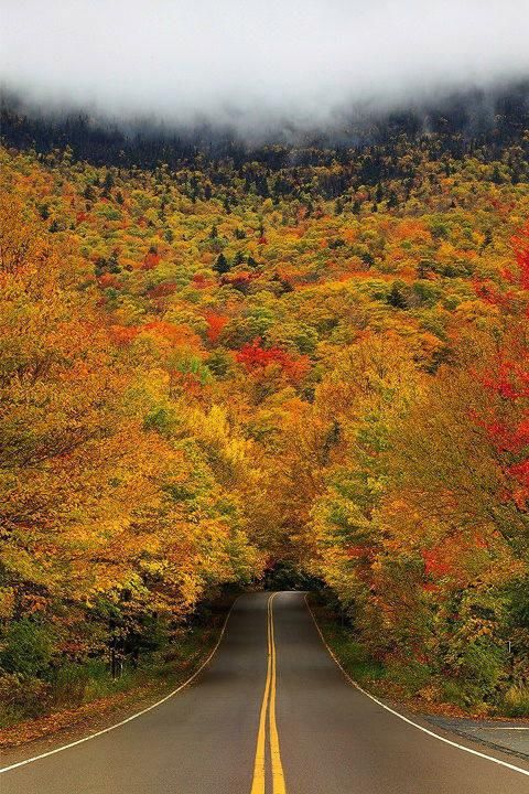  秋景|这一组迷人秋景，美爆了朋友圈！