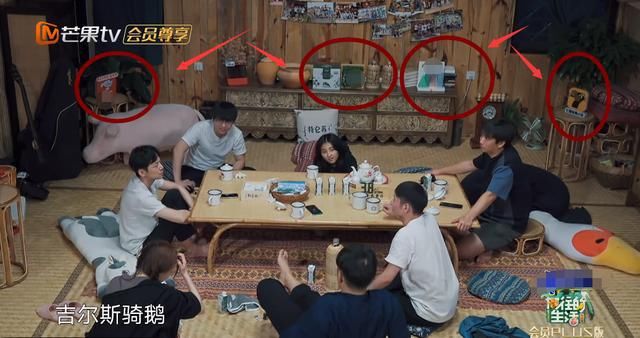  解释|张子枫为啥现在不常喝牛奶了？其实何炅早就解释过，原因让人咂舌