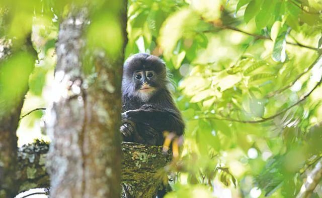 生长|云之南，一个生生不息、万物生长的地方