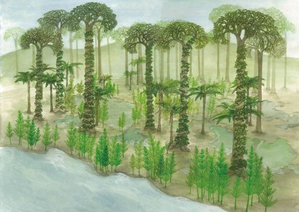2.5亿年前的植物世界是怎样的？地大师生用3年时间画出来