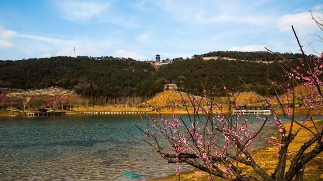  程度|中国“最干净”城市虽然只算县级市，但干净程度不比日本差