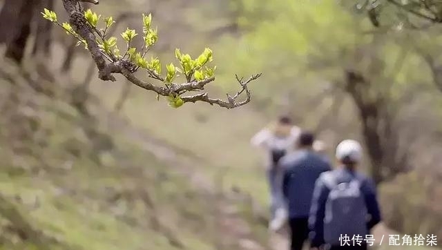 祖先|清明为什么要祭祖?这是我听过最好的答案