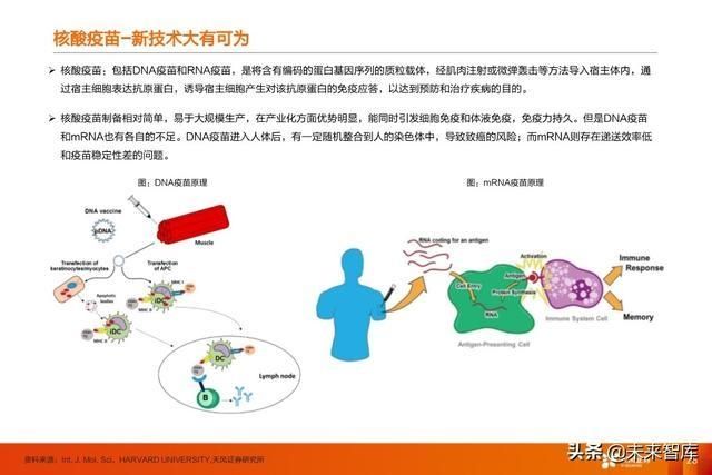 临床试验|疫苗行业深度报告:新冠疫苗谁将拔得头筹