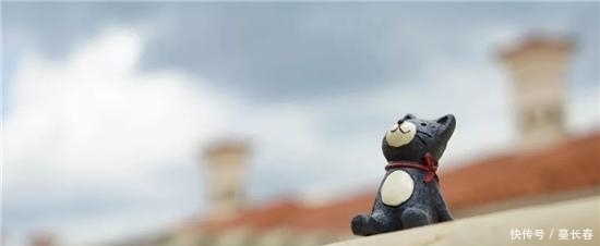  来疗|祸从天降 城市上方的痛谁来疗愈？