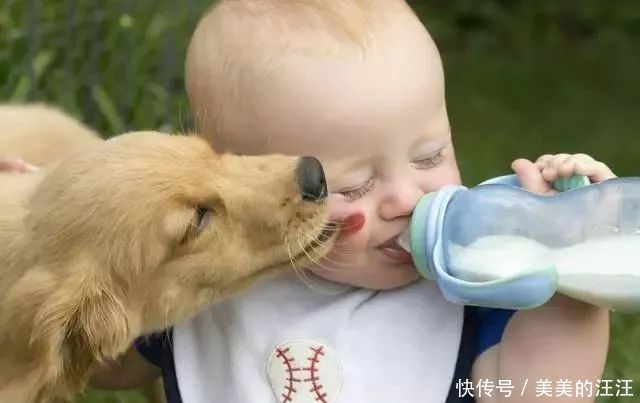  孩子|揭秘：为什么狗狗和小孩玩得来？两者间的“神奇关系”很有趣！