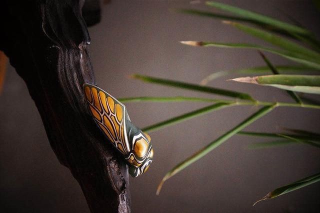 福泽|玉雕蝉的禁忌,你都了解吗?戴对才能腰“蝉”万贯、福泽一生!