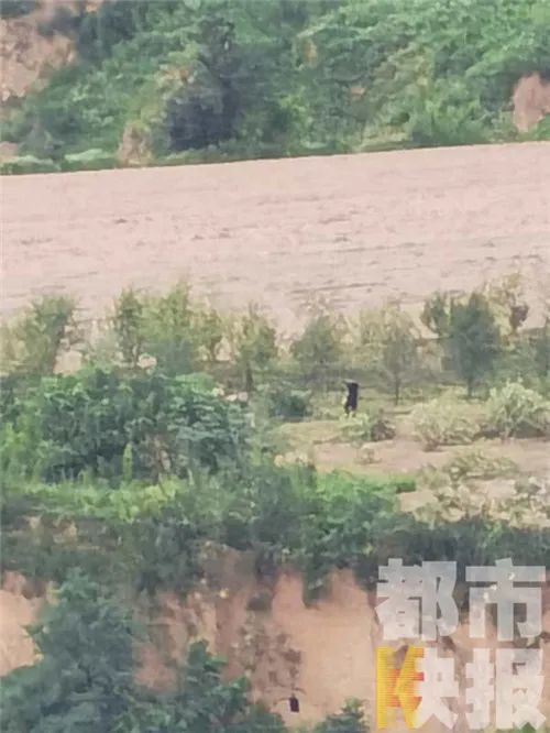  南立伟|四人相约夜间盗墓，挖了一米果断放弃！原因令人哭笑不得