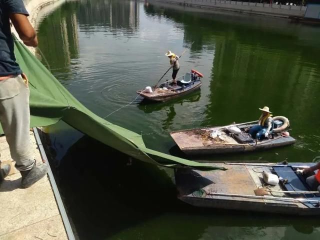  泵站|蛙人下水抢修，险被旋涡“咬住”！合肥南淝河再遇险情……