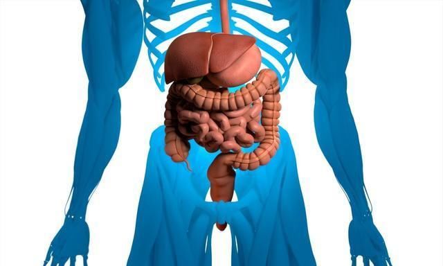 赶紧|憩室炎是怎么回事?出现这7种症状,赶紧看医生