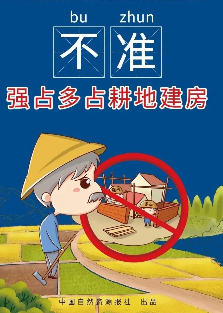 农村乱占耕|内蒙古：耕地建住宅，整治