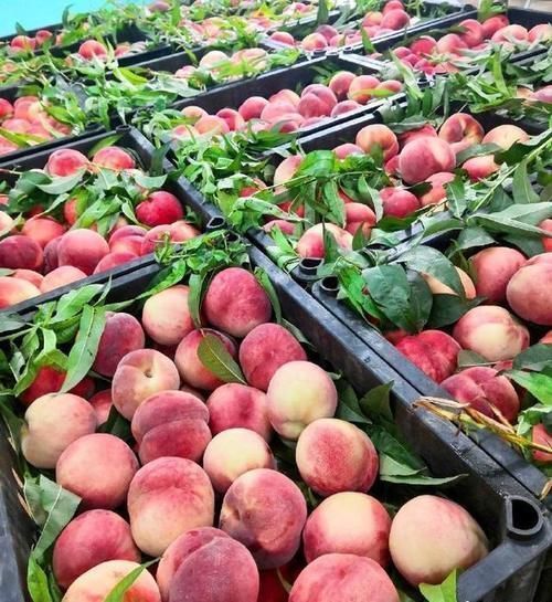 毕业|这所大学用食堂征服学生,饭菜香到哭,学生不想毕业,没吃够